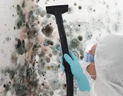 Trusted Karns, TN Mold Removal Experts